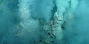 Les bactéries des sources hydrothermales sont de formidables centrales énergétiques