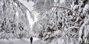 -53 °C au Canada : le froid le plus vif ressenti depuis 14 ans