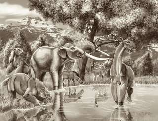 Plus proche des éléphants ou des mastodontes ? L’analyse ADN d’une molaire a parlé