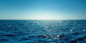 « Nous sommes en train de perdre nos océans » : records historiques de température en 2021