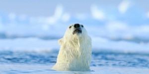 Arctique : la calotte du Groenland a perdu 4.700 milliards de tonnes de glace en 20 ans
