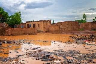 La déforestation en Afrique de l'Ouest augmenterait le risque d'inondations