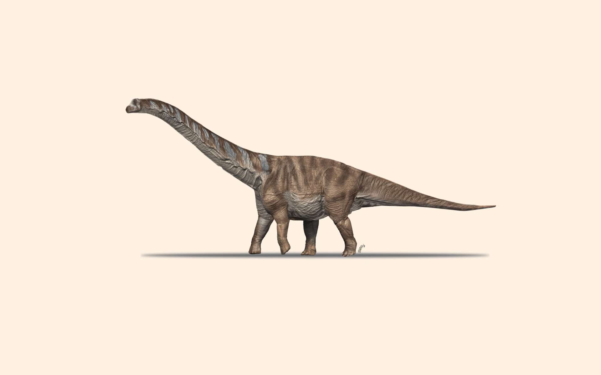 Reconstitution d'une nouvelle espèce de titanosaure retrouvée en Catalogne
