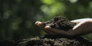 Les scientifiques s'inquiètent de l'appauvrissement rapide des sols dans les régions méditerranéennes