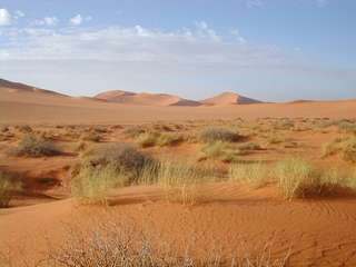 Les rivières fossiles du Sahara nous mettent en garde contre les effets du réchauffement climatique