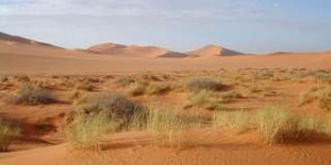 Les rivières fossiles du Sahara nous mettent en garde contre les effets du réchauffement climatique