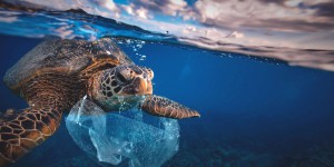 Une augmentation sans précédent du plastique dans les océans