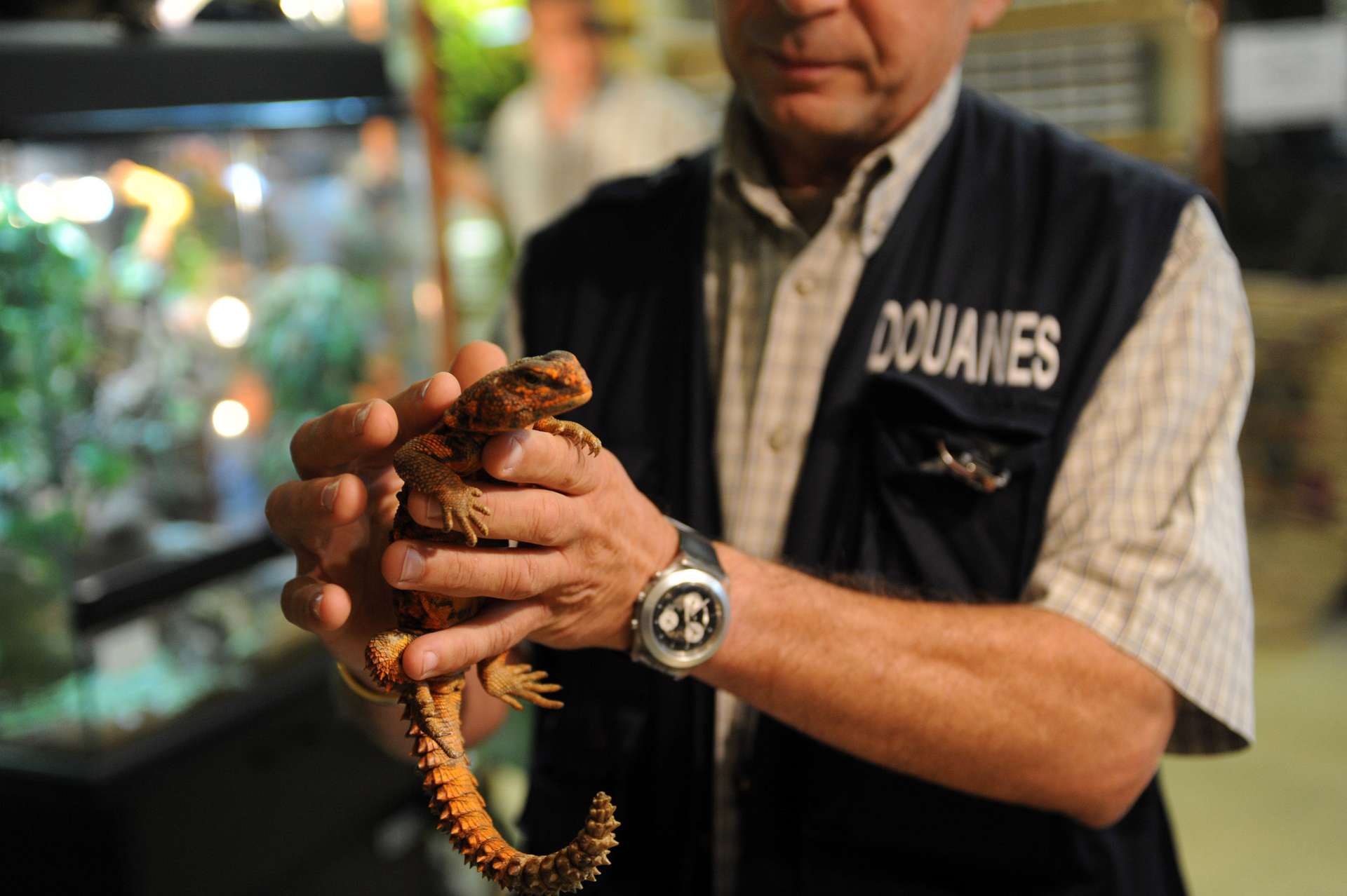 Bientôt la fin du trafic lucratif d'espèces sauvages dans les aéroports de Paris ?
