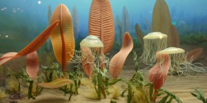 Il y a 550 millions d’années, la vie faisait face à sa toute première extinction de masse