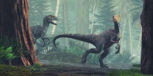 Surprise ! Les dinosaures savaient se mettre à la place des autres !