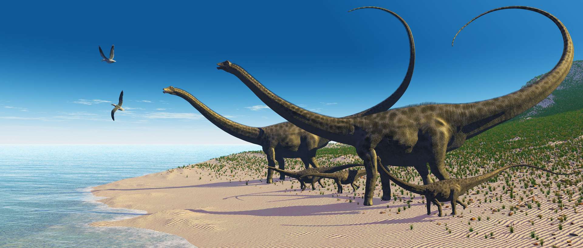Un « ancêtre des humains » a côtoyé les dinosaures, vraiment ?