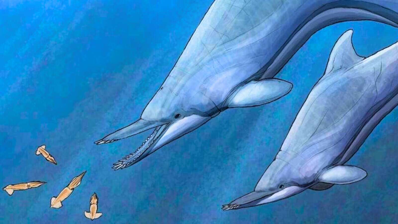 Des dauphins préhistoriques dignes d'un film d'horreur