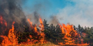 Météo France lance la Météo des forêts pour informer sur le risque d'incendie durant l'été