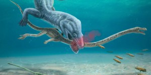 Ces reptiles préhistoriques à long cou sont morts décapités !