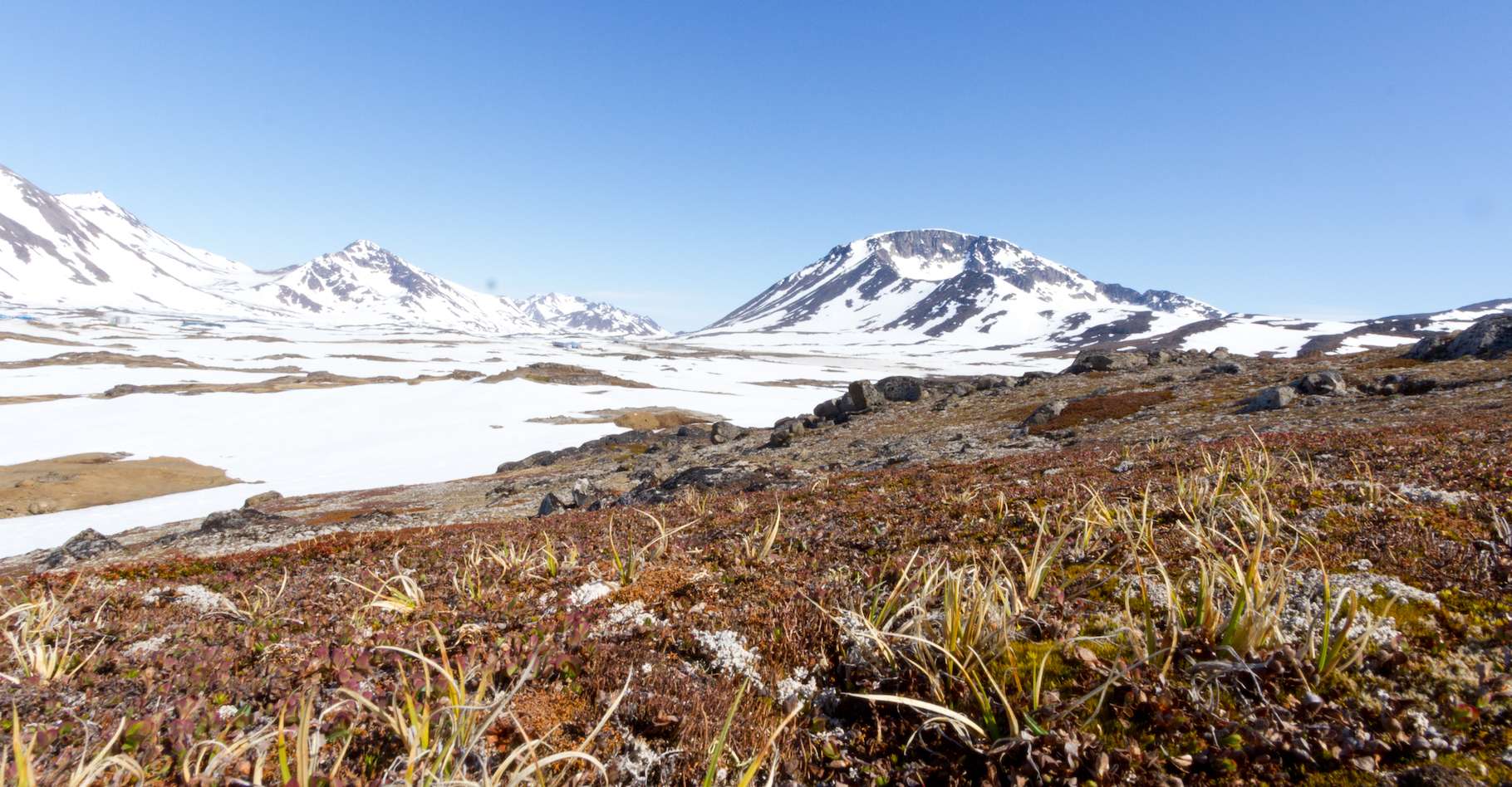 Le Groenland sans glace il y a 400 000 ans : un avertissement pour notre futur