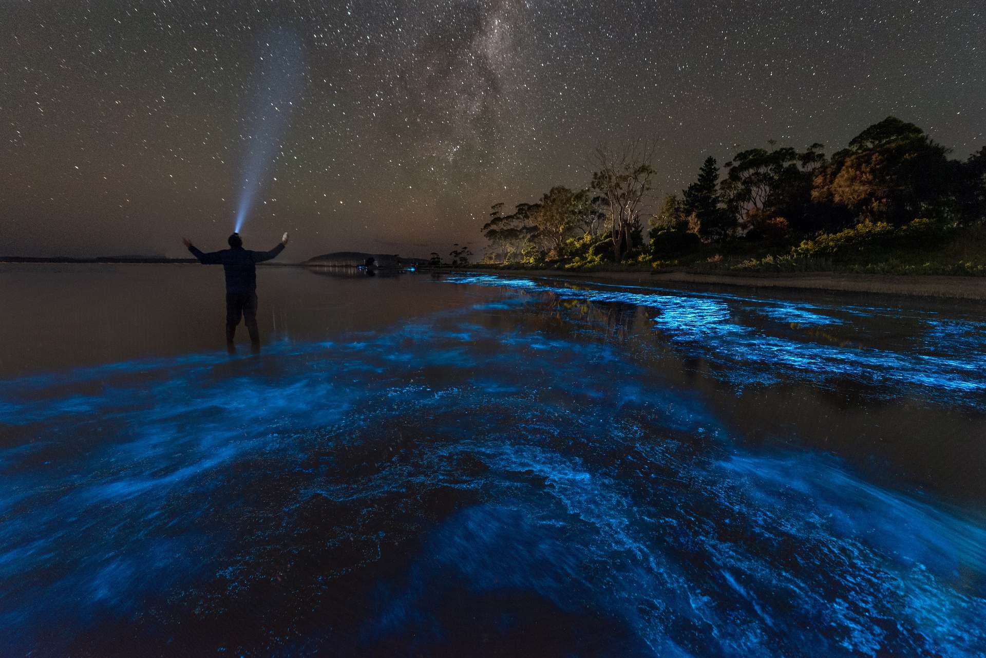 Images très rares et magnifiques de bioluminescence sur une plage en France