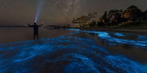 Images très rares et magnifiques de bioluminescence sur une plage en France