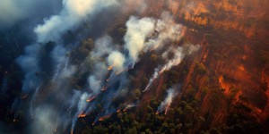 Vu de l’espace : des régions entières ravagées par les incendies de forêt
