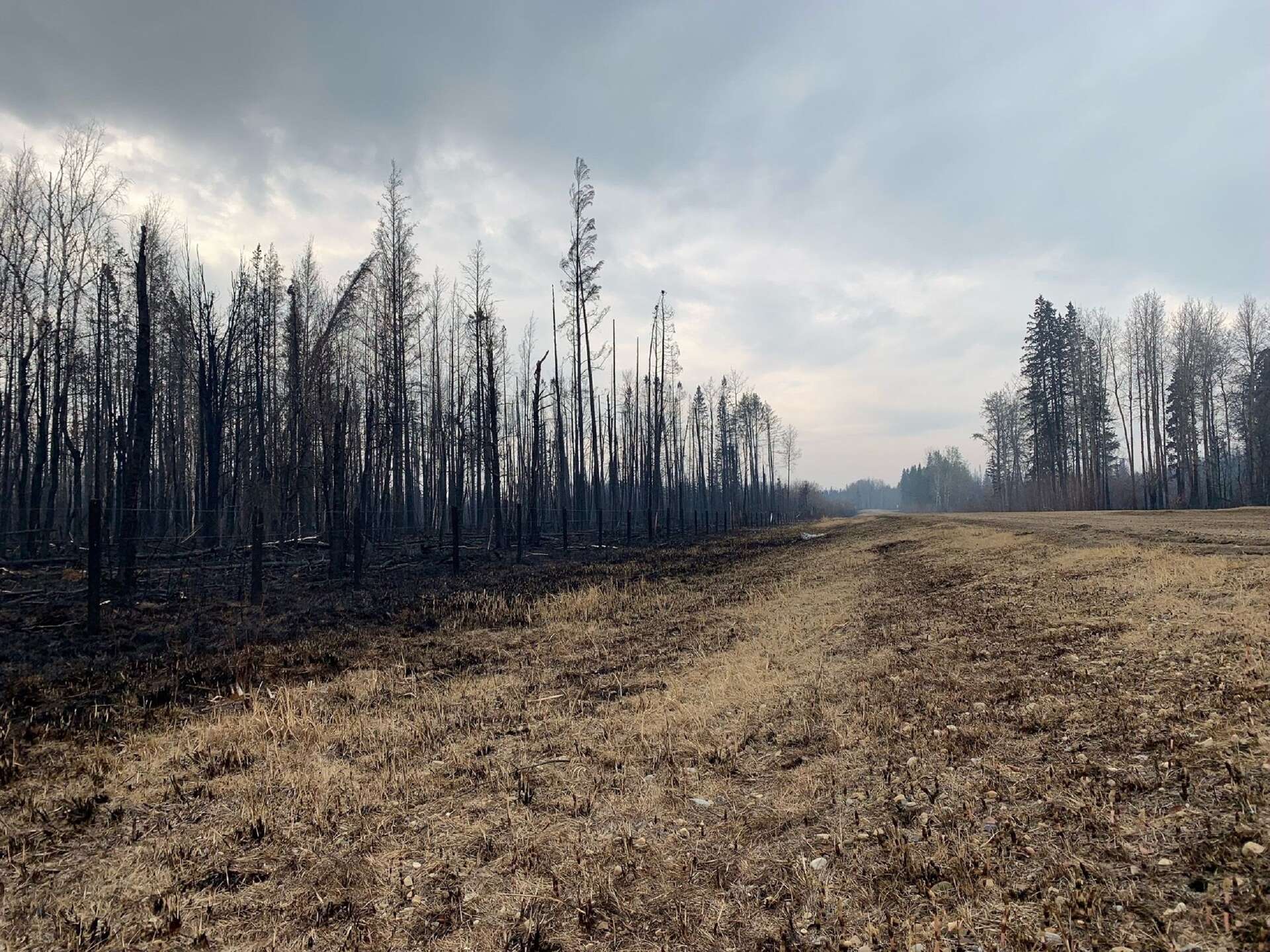 613 incendies hors de contrôle au Canada qui bat un record d’émissions de carbone !