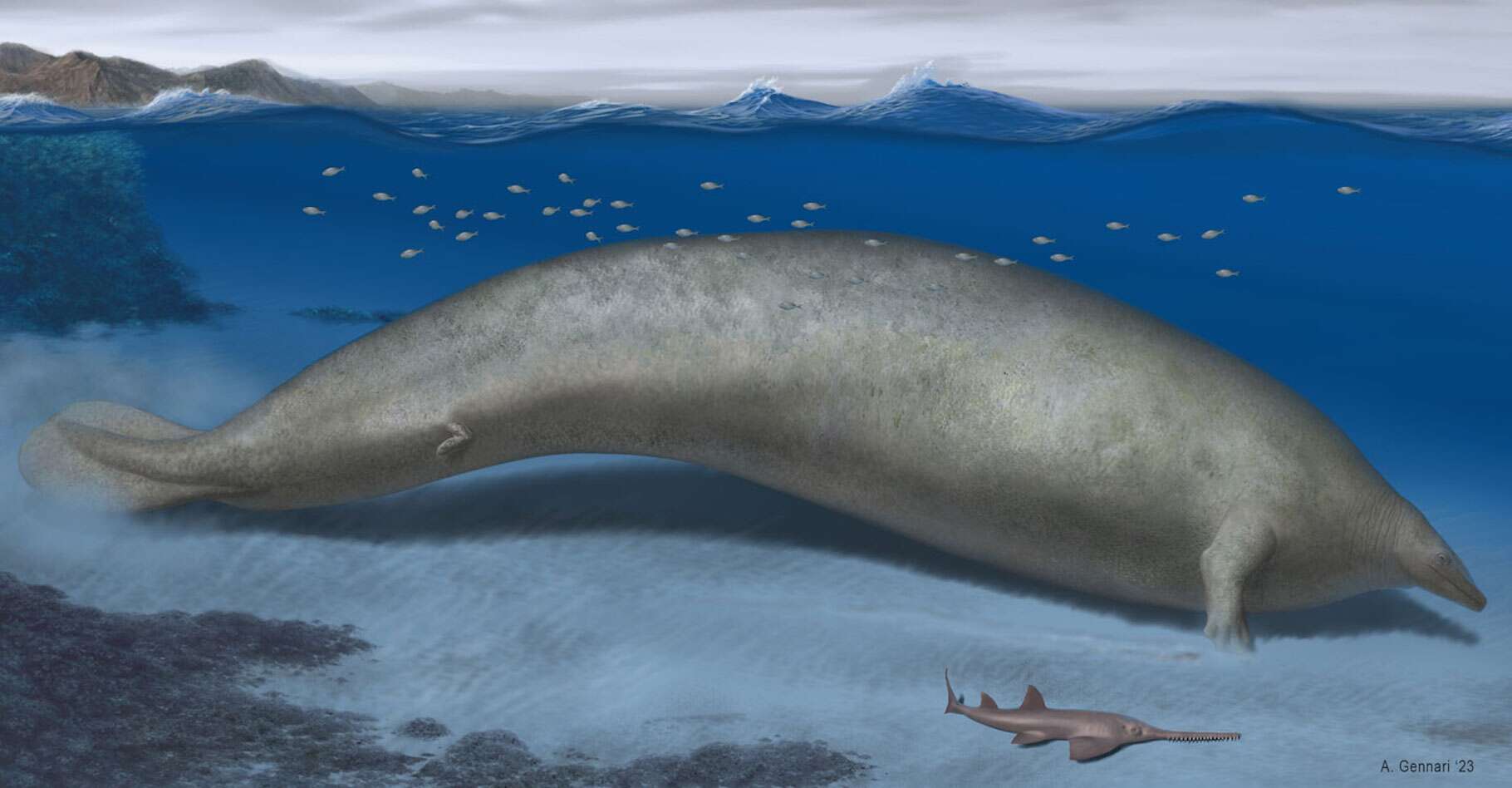 C’était peut-être le plus gros animal qui ait jamais vécu sur Terre !
