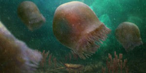Cette méduse de 500 millions d’années est la plus ancienne qui savait nager jamais découverte