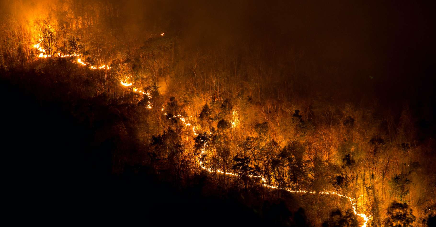 Mégafeux : une étude pointe notre gestion des forêts et des incendies