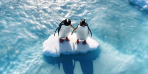 L’Antarctique se réchauffe deux fois plus vite que le reste du monde, révèle une étude