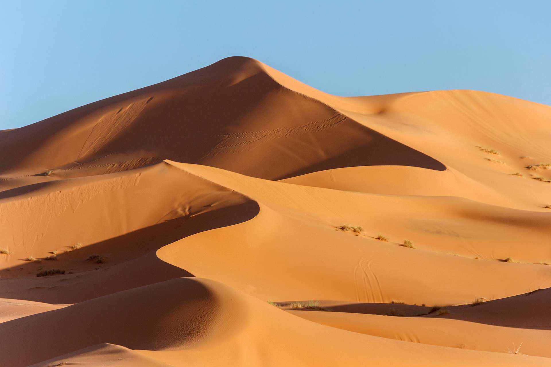 Le mystère du « Sahara vert » est enfin résolu