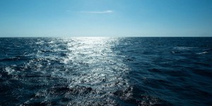 Une mystérieuse « langue froide » dans les eaux du Pacifique toujours inexpliquée