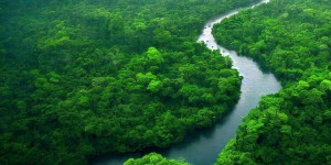 Entre sécheresse extrême et désespoir Humain : quand le fleuve Amazone ne coule plus