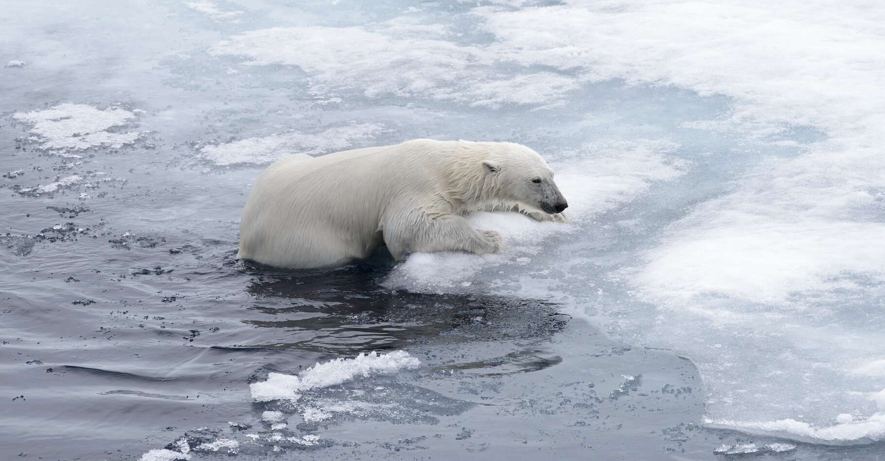 Comment le réchauffement rapide de l’Arctique menace la planète entière