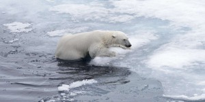 Comment le réchauffement rapide de l’Arctique menace la planète entière