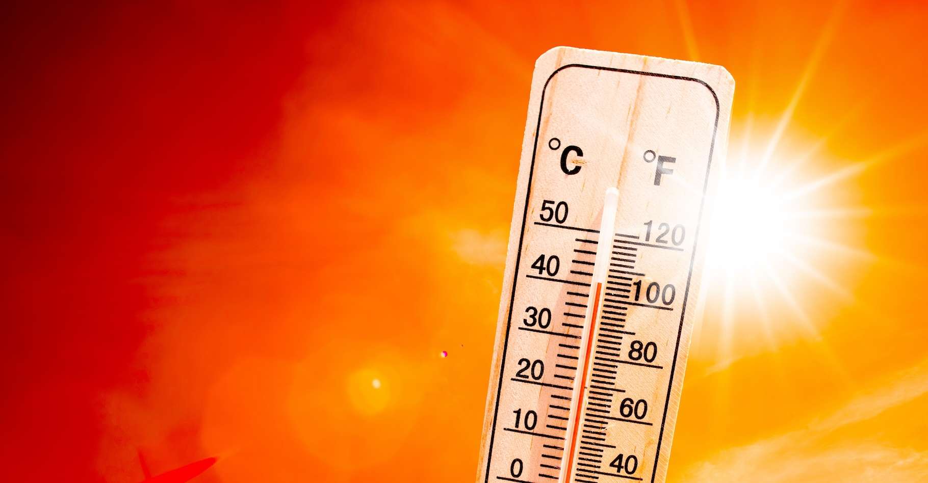 Les pires craintes des scientifiques sont en train de se réaliser : 2023 est l’année la plus chaude de l’histoire