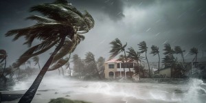 Le chaos provoqué par le cyclone Belal à La Réunion et l'île Maurice en images