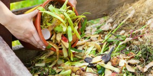 L’histoire méconnue du compost : de la chasse à l’engrais à la chasse au déchet
