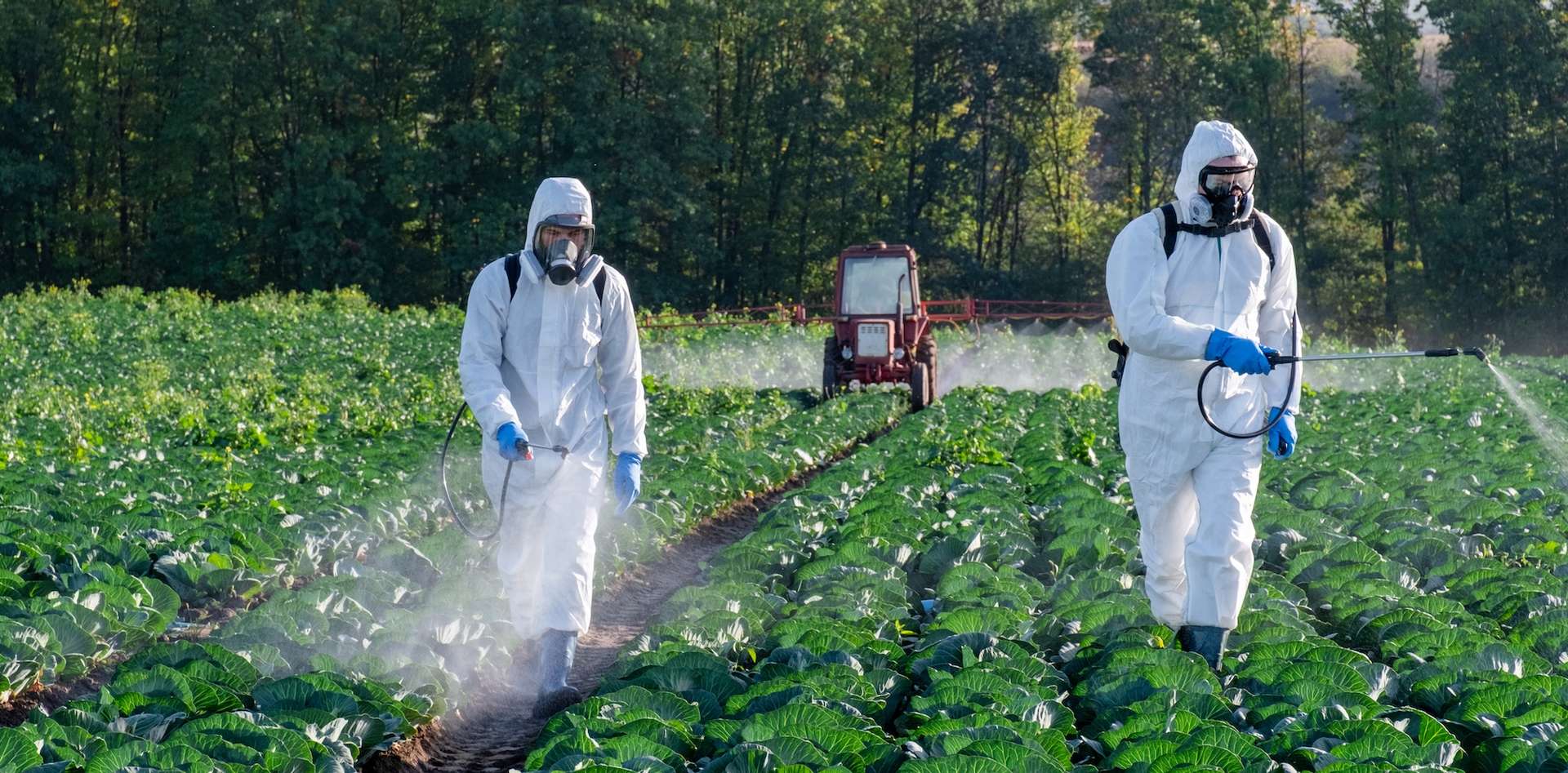L'usage des pesticides en France a explosé ces 10 dernières années !