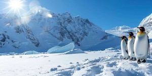 En Antarctique, les barrières de glace fondent deux fois plus vite qu’il y a 50 ans !