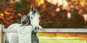 Le cheval sait lire les émotions et reconnaît votre voix