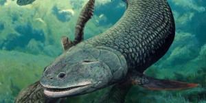 Ce poisson préhistorique pouvait respirer dans l’eau et dans l’air !