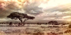Cette région sauvage d'Afrique est le 2e plus grand émetteur de CO2 au monde, et personne ne sait pourquoi