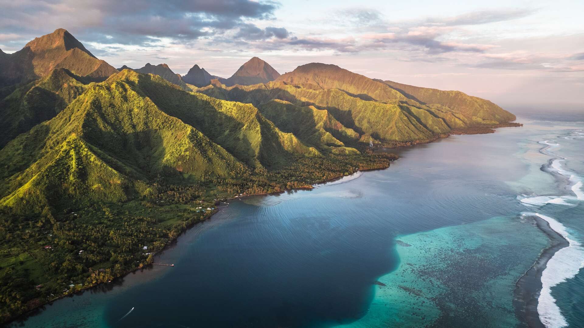 Des coraux abîmés par le chantier de la tour des juges indigne à Tahiti