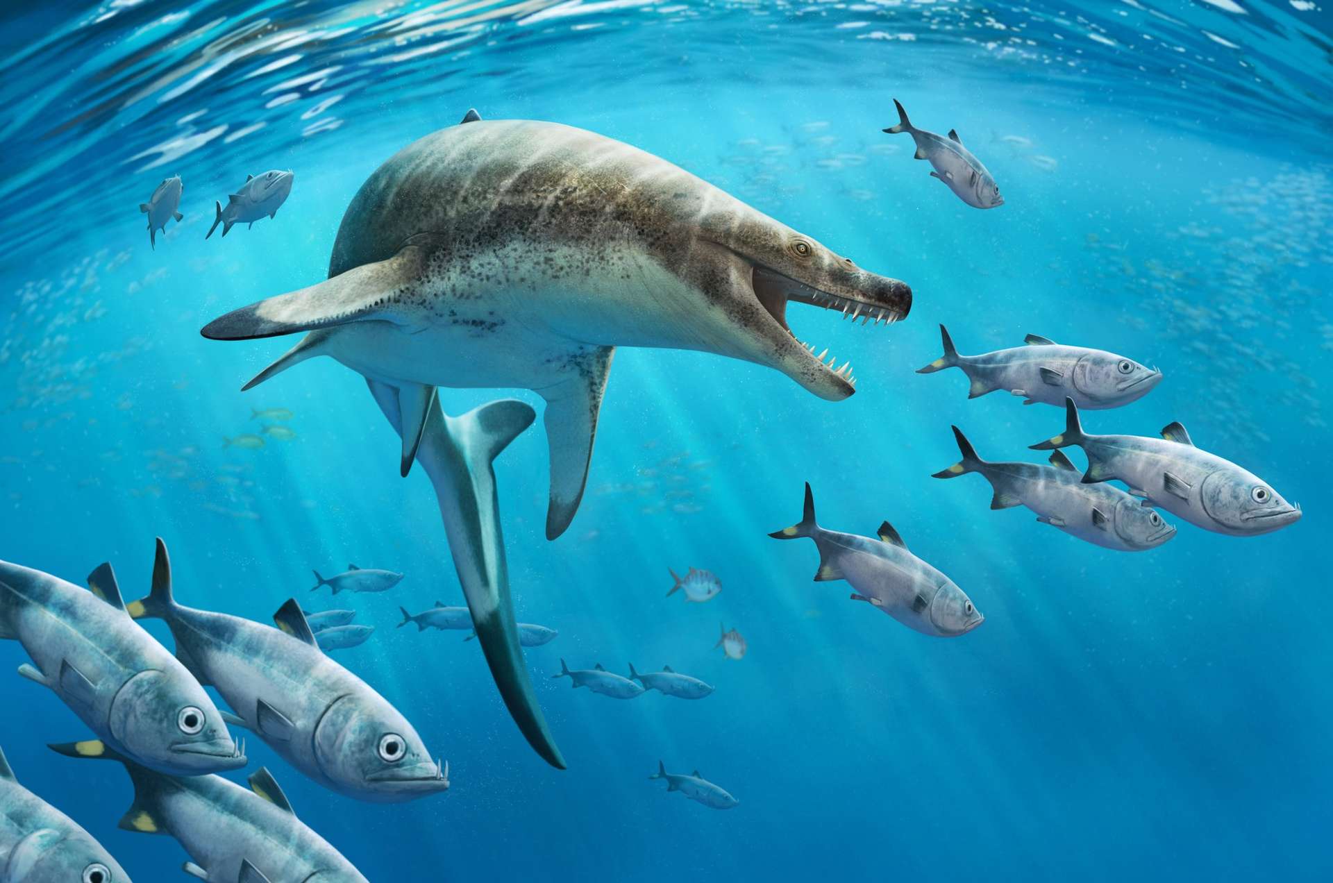 Ce reptile marin géant devait être la terreur des océans il y a 66 millions d’années