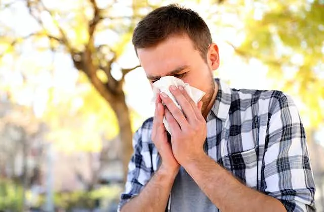 Pourquoi les risques d’allergies explosent à cause du changement climatique ?
