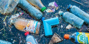 Découverte de plusieurs champignons qui dévorent le plastique : une révolution pour le recyclage ?