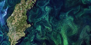 Quel est le rôle des tourbillons océaniques dans le système climatique ?