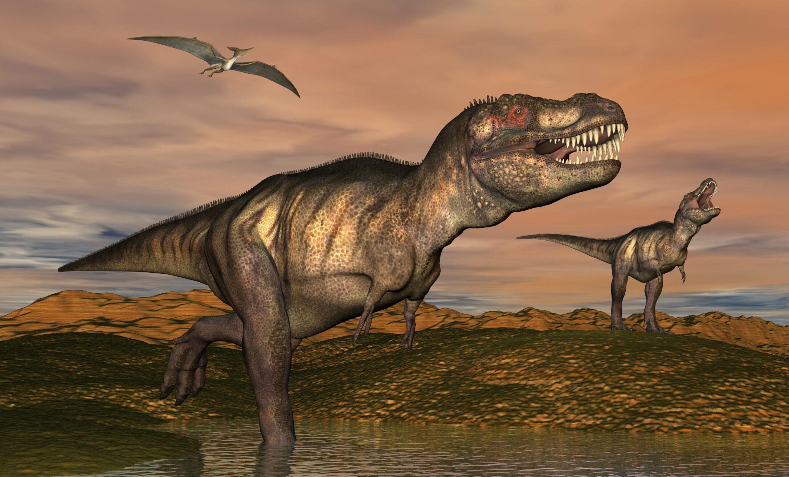Combien de Tyrannosaurus Rex auraient existé ? Les scientifiques se contredisent !