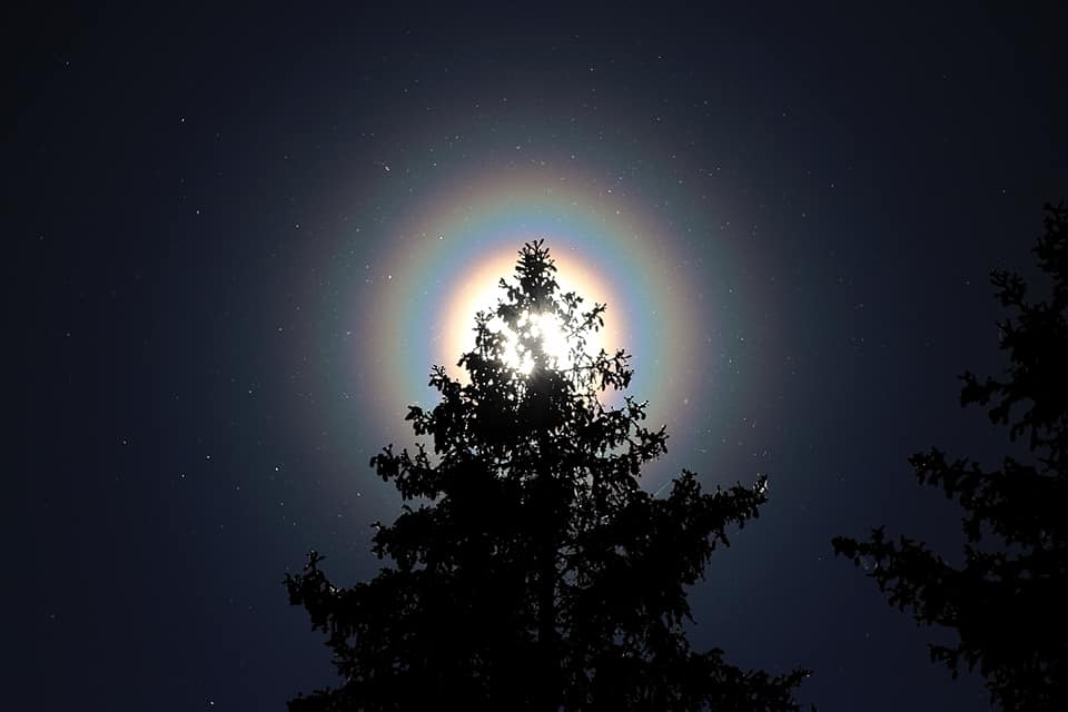 Un halo « arc-en-ciel » autour du Soleil photographié en Finlande, quel est ce phénomène ?