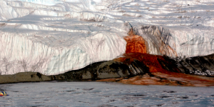 Des cascades de sang à la vie extraterrestre : les révélations étonnantes de l’Antarctique