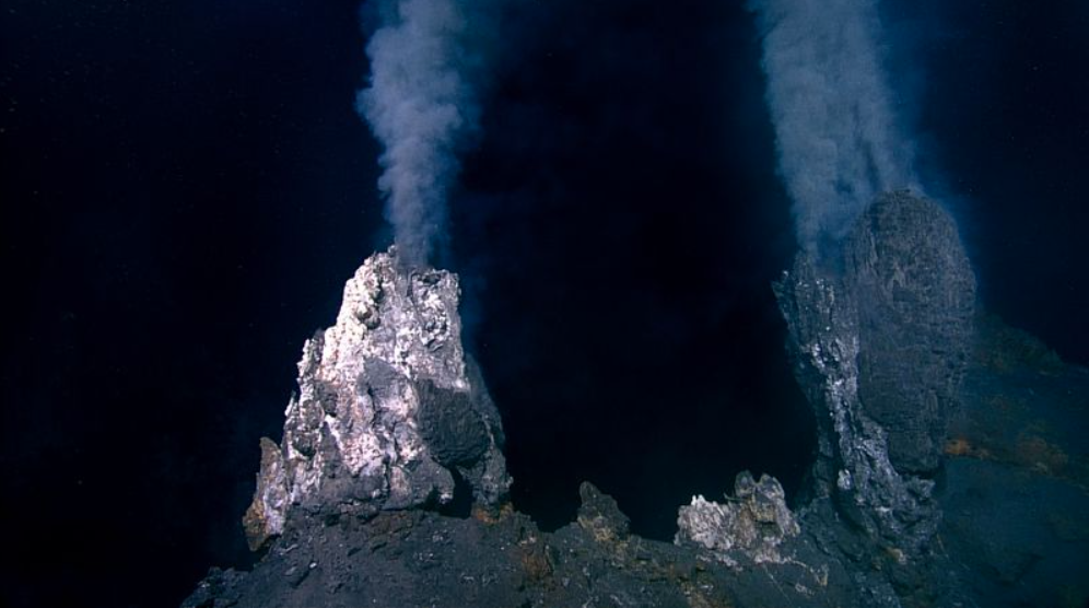 Découverte d’un volcan sous-marin actif recouvert d’environ un million d’œufs géants