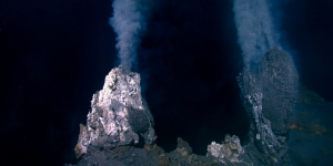 Découverte d’un volcan sous-marin actif recouvert d’environ un million d’œufs géants